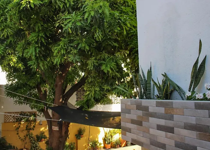 Momoluu\'S House